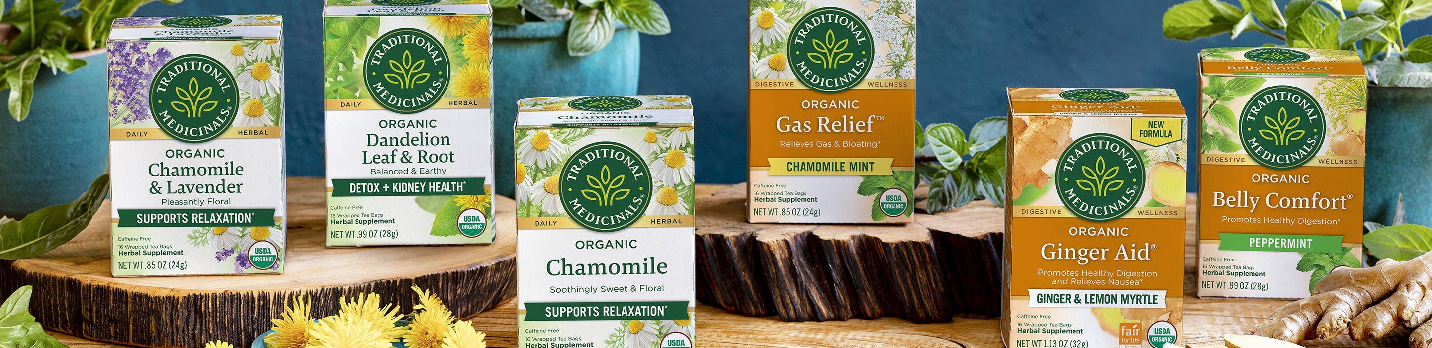 Best Teas for Digestive Support
