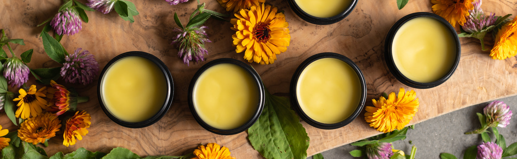 Image of herbal salves on rustic wooden board with calendula, comfrey and red clover strewn about