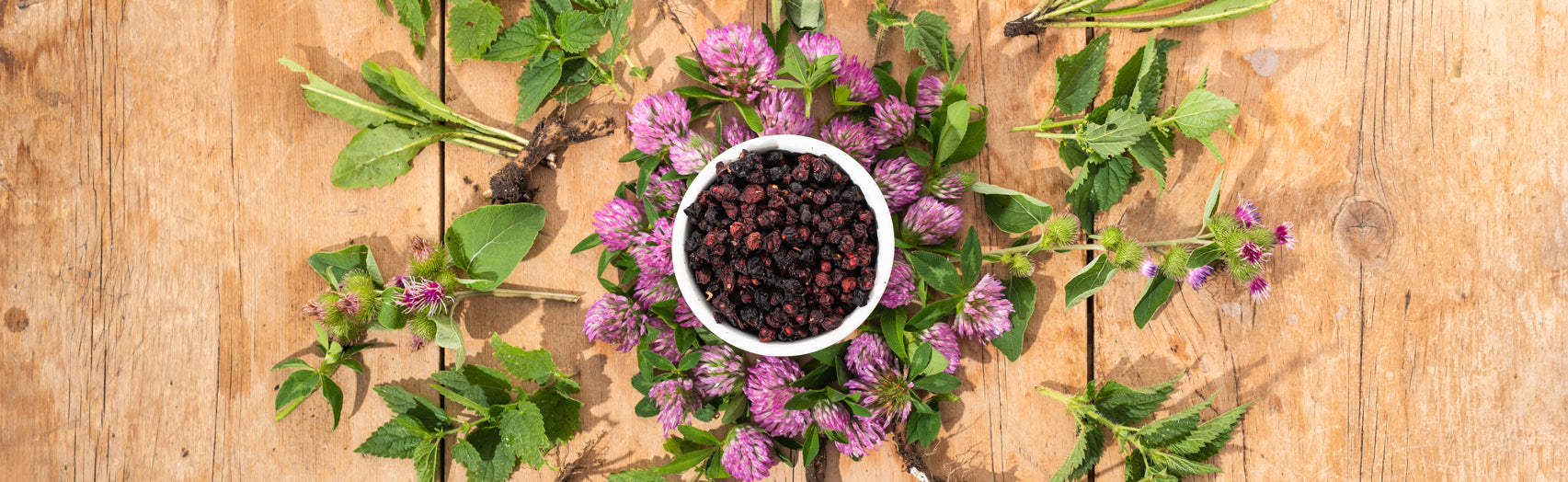 Herbs for Natural Detox