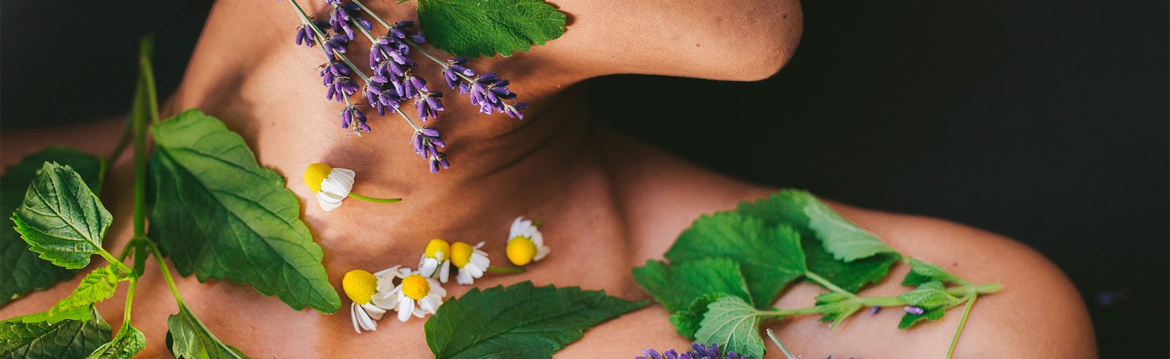 Herbs & The Nervous System