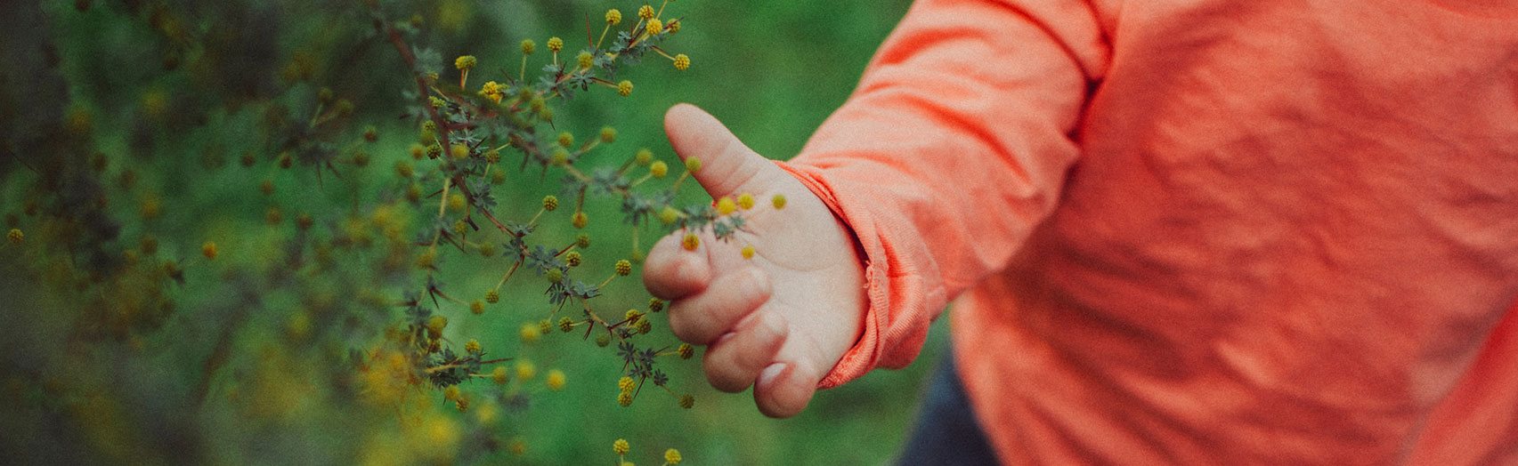Connecting Children with Nature