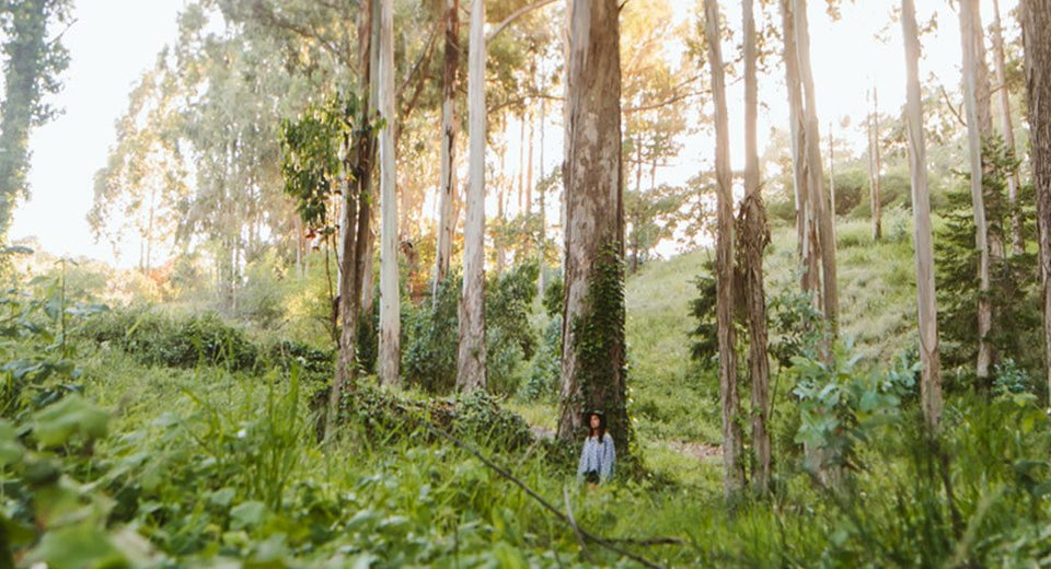 8 Ways to Feel Closer to the Earth