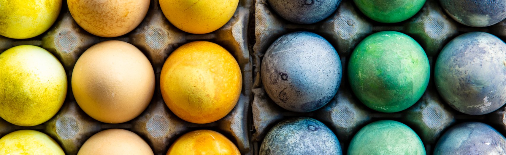 Carton of dyed eggs