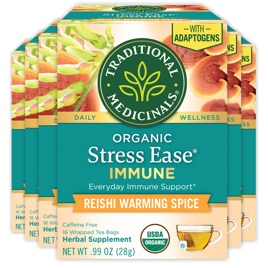 stress ease immune reishi warming spice