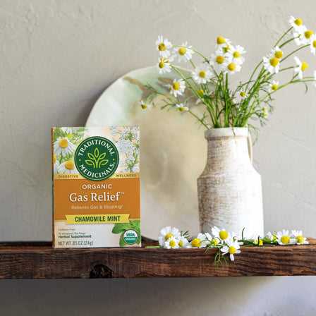 Gas Relief™ Tea  with pot of flowers and plate on the shelf