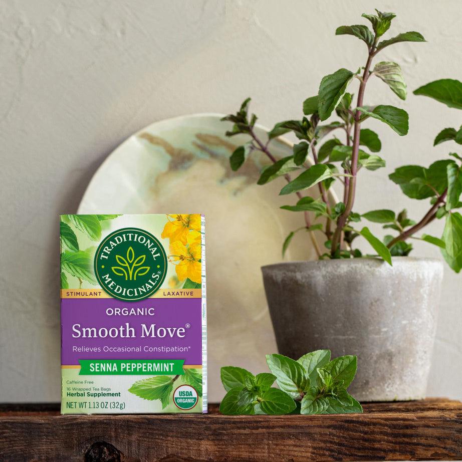 A box of Smooth Move® Peppermint Tea is placed beside a potted plant and fresh leaves on a wooden surface, providing a natural remedy for occasional constipation. View 2
