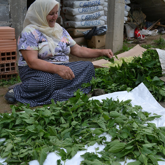 Learn more about Fair Trade