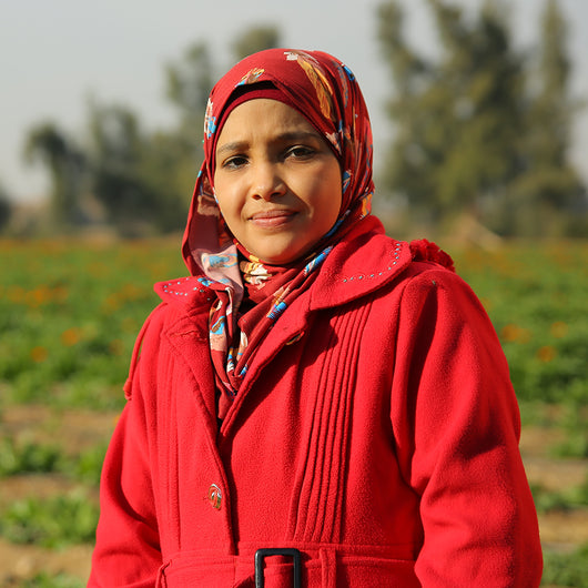 Learn more about The Business of Sustainable Plants