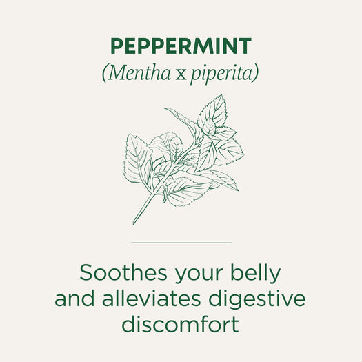 Peppermint Tea