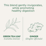 Green Tea Ginger