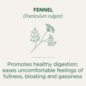 Fennel Tea