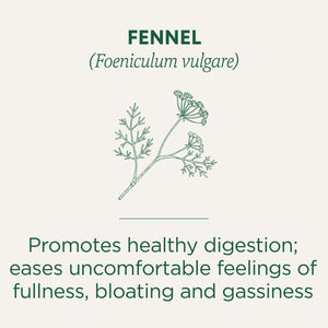 Fennel Tea