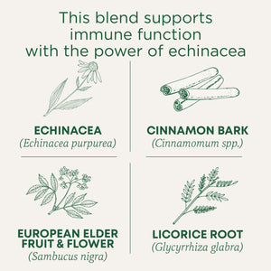 Immune Zoom® Elderberry Echinacea Tea