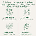 This blend stimulates the liver and supports the body's natural detoxification process. Dandelion (Taraxacum officinale). Fennel (Foeniculum vulgare). Peppermint (Mentha x piperita). Licorice (Glycyrrhiza glabra)