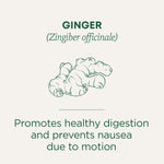 Ginger Tea