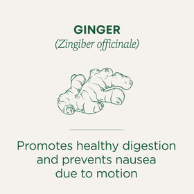 Ginger Tea