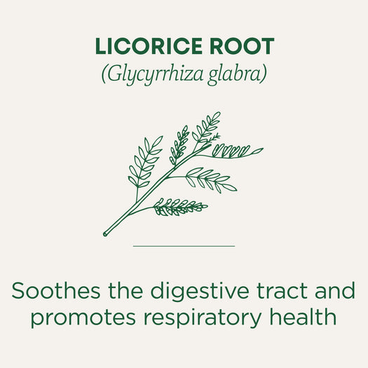 Licorice Root Tea