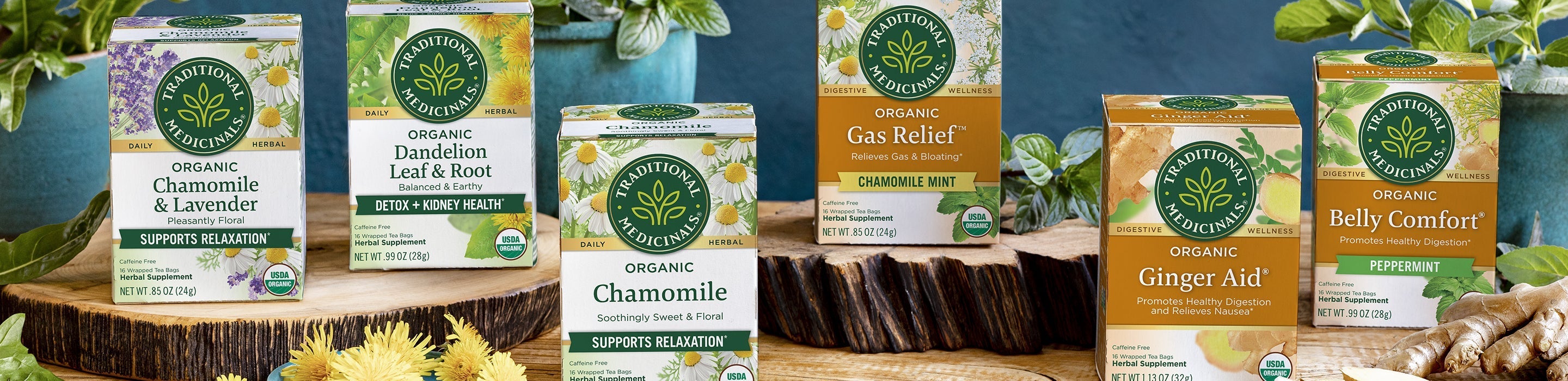 Best Teas for Digestive Support