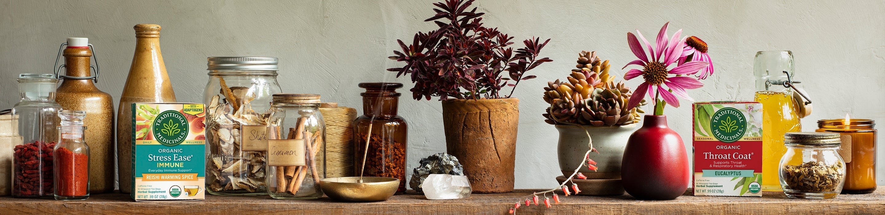 Stock Your Fall Herbal Apothecary