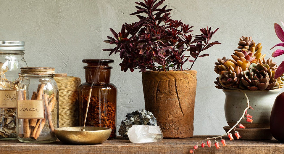 Stock Your Fall Herbal Apothecary