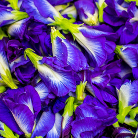 Butterfly Pea flower