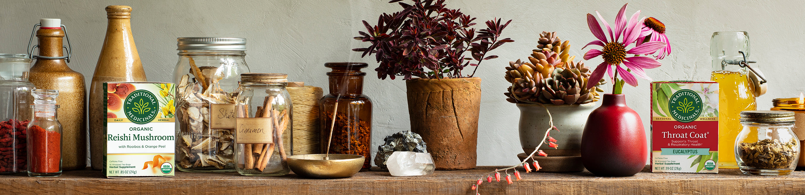 Stock Your Fall Herbal Apothecary