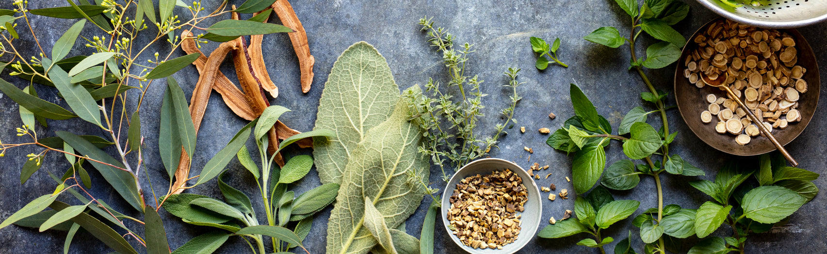 Herbs & The Respiratory System