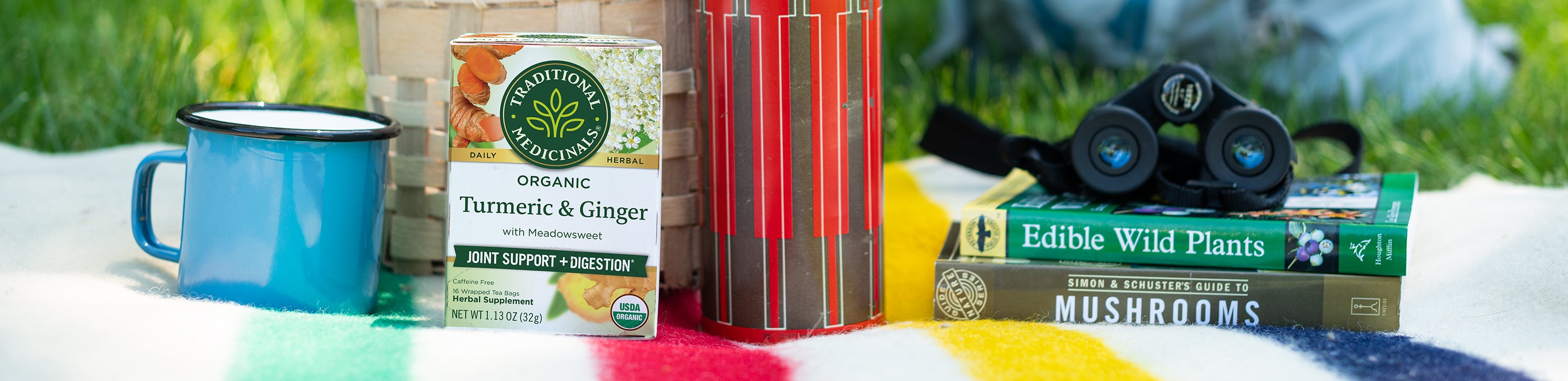 Herbal Essentials for a Summer Camping Trip
