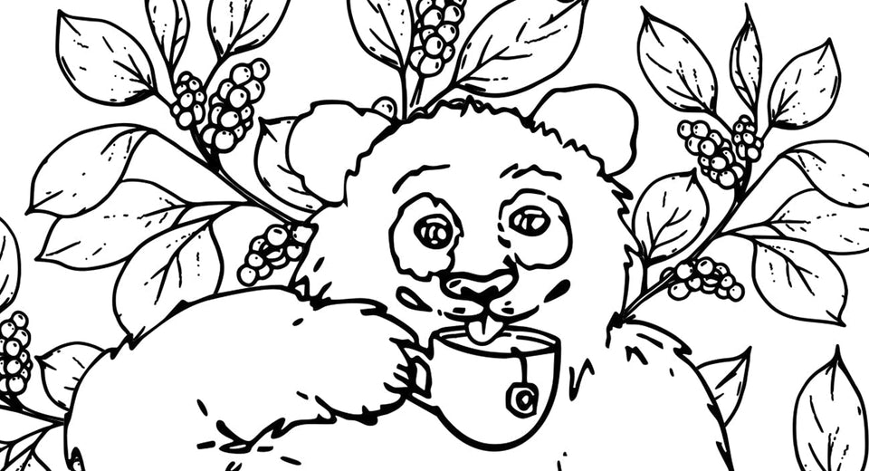 Coloring Pages with Purpose: Schisandra, Pandas, and Power of Sustainable Sourcing