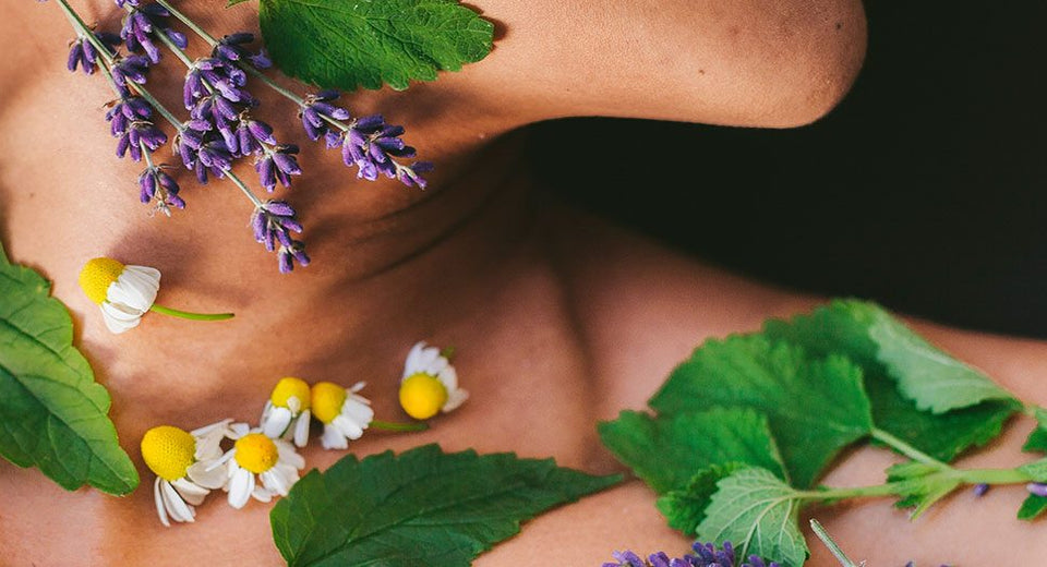 Herbs & The Nervous System