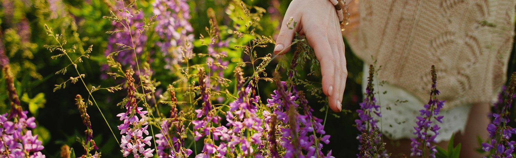 Herbs & The Summer Solstice