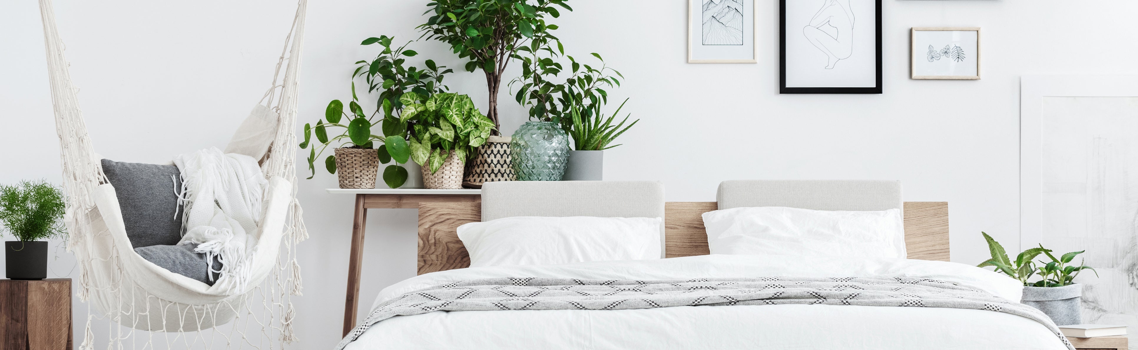 bed with plants