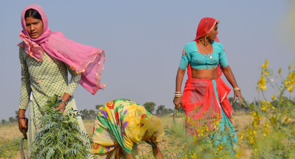 Seeds of Change: Water Solutions in the Thar Desert
