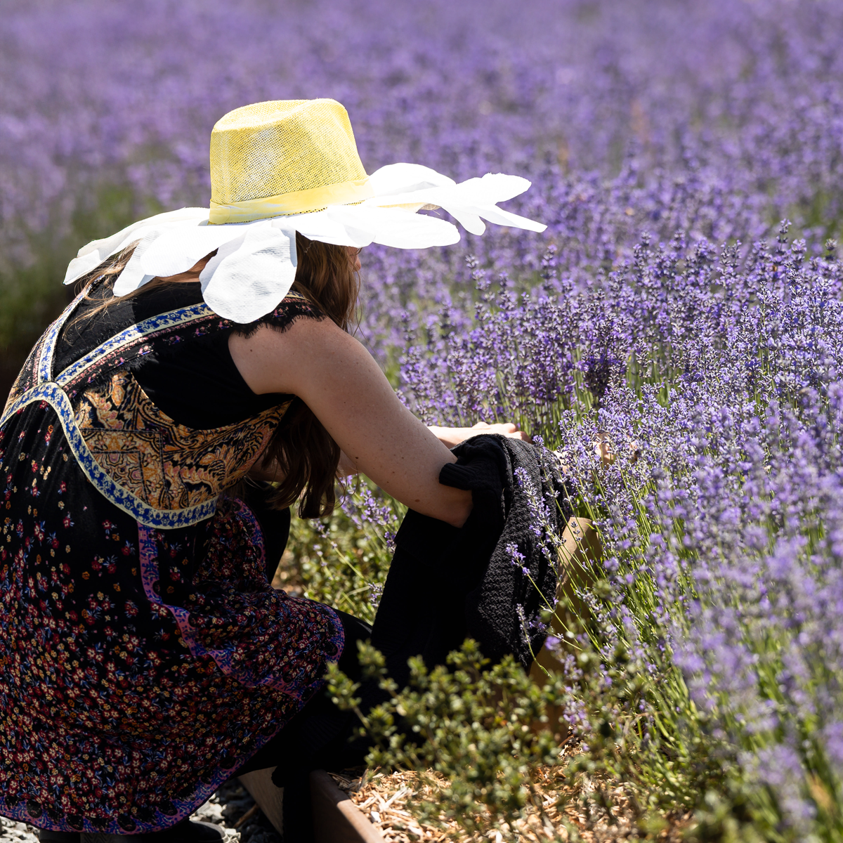 The Botanical Sanctuary Garden