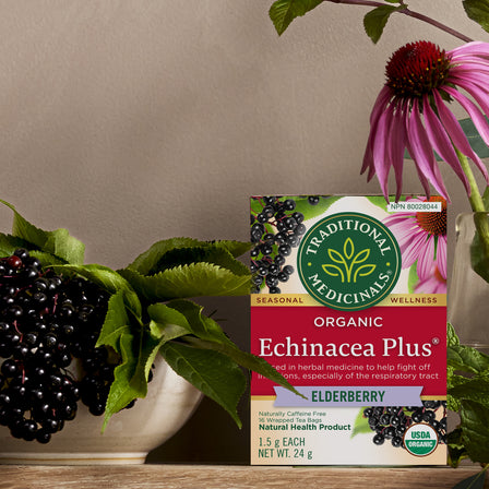 Organic Echinacea Plus® Elderberry Tea (Canada)