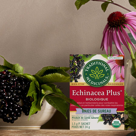 Organic Echinacea Plus® Elderberry Tea (Canada)