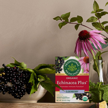 Echinacea Plus® Elderberry Tea