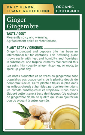 Organic Ginger Tea (Canada)