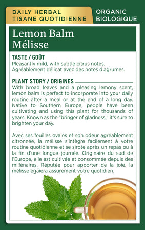 Organic Lemon Balm Tea (Canada)