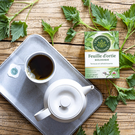 Organic Nettle Leaf Tea (Canada)