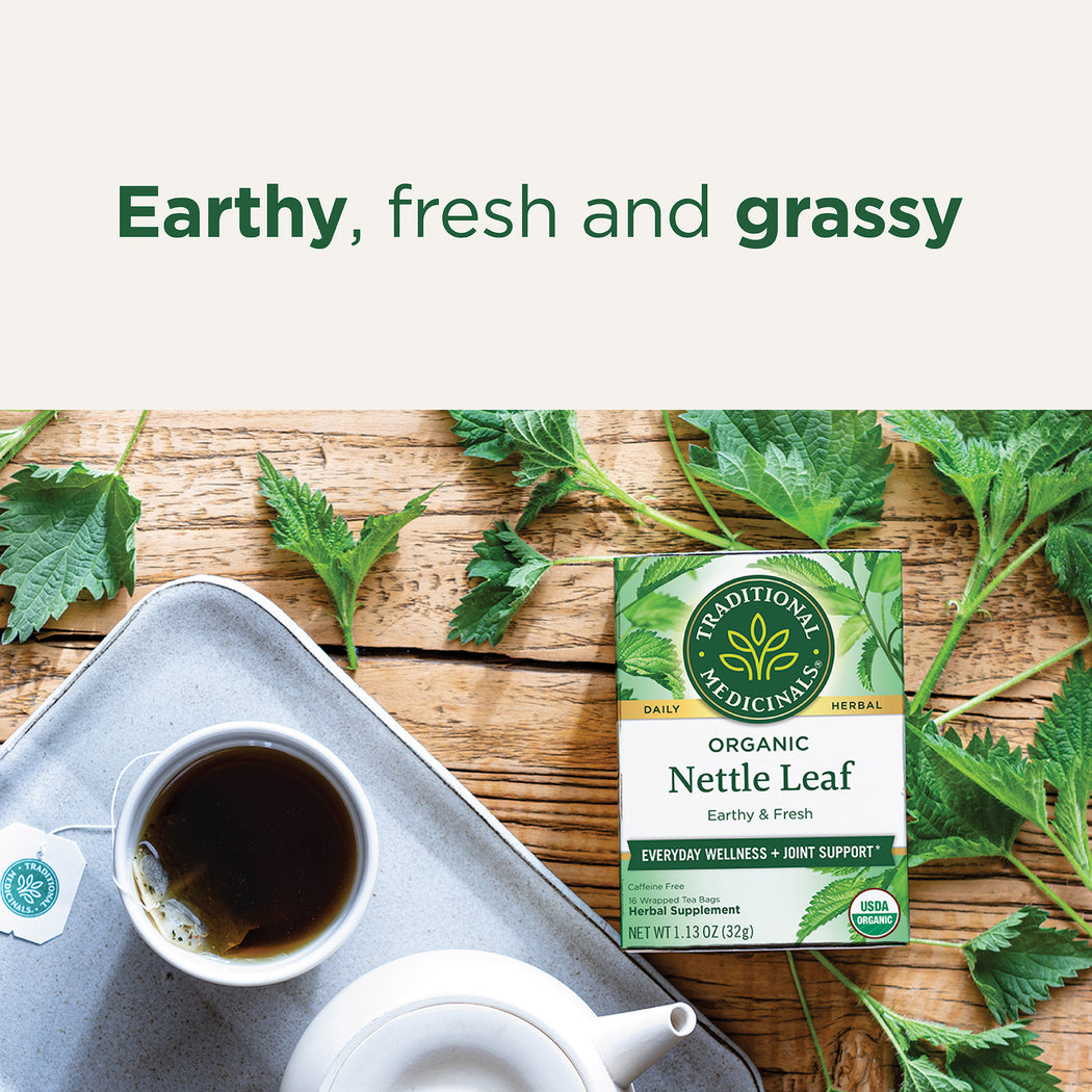 Traditional Medicinals Organic Nettle Leaf Tea – 1 Box, Herbal Supplement, Exp June 23, Pantry Staple