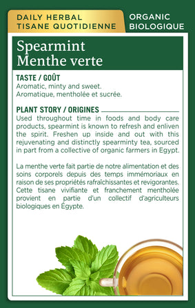 Organic Spearmint Tea (Canada)