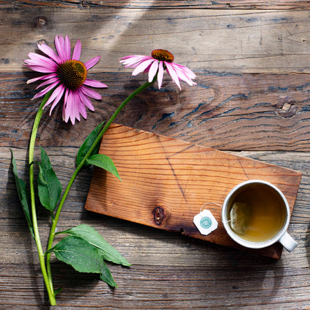 A cup of Echinacea Plus® Tea rests on a table adorned with two purple coneflowers and a wooden board, offering a natural boost to the immune system.