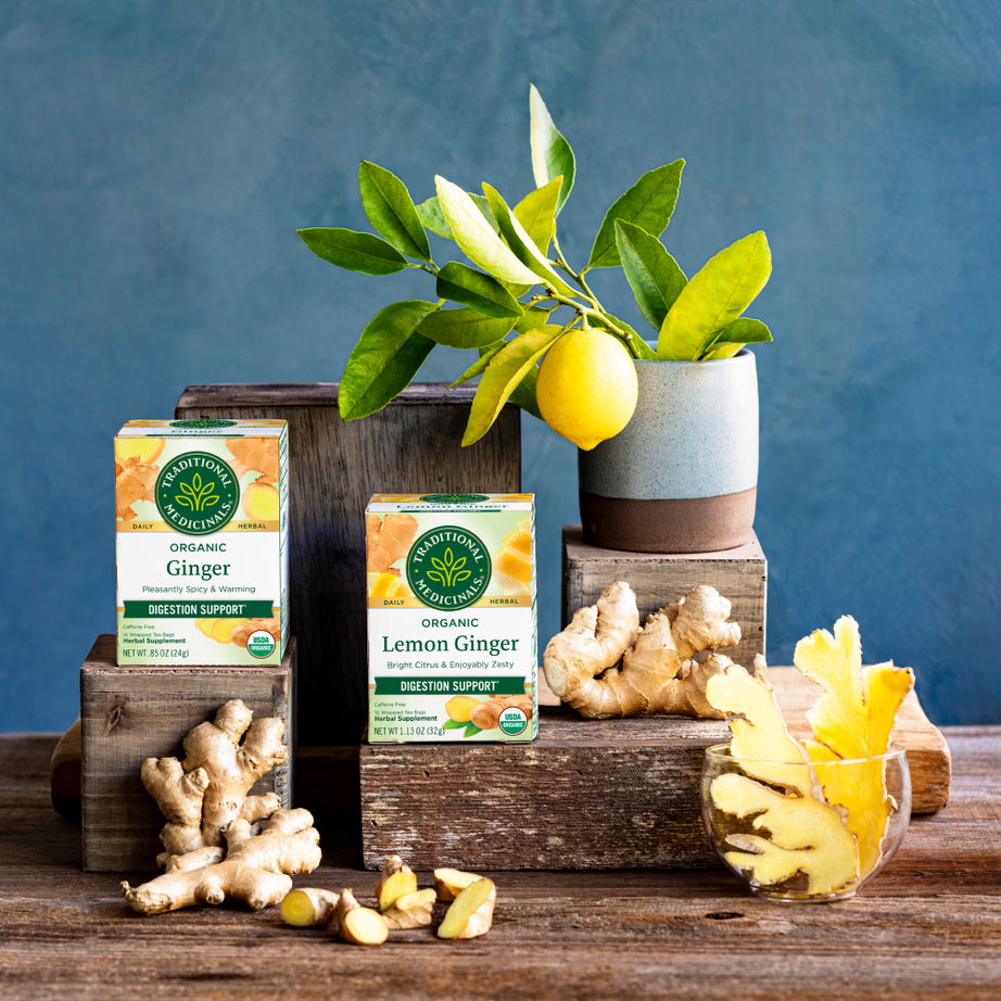 Boxes of Ginger Tea, highlighting organic ginger root and fresh lemon, are elegantly arranged beside a potted lemon tree on wooden blocks against a calming blue background, providing a delightful blend that supports healthy digestion. View 2
