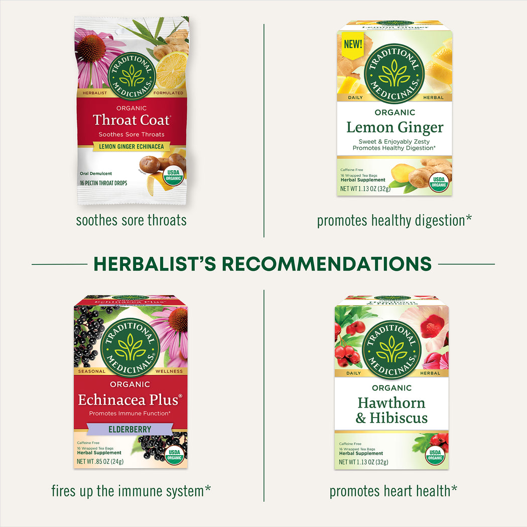 Immune Zoom® Lemon Ginger Echinacea Tea Traditional Medicinals