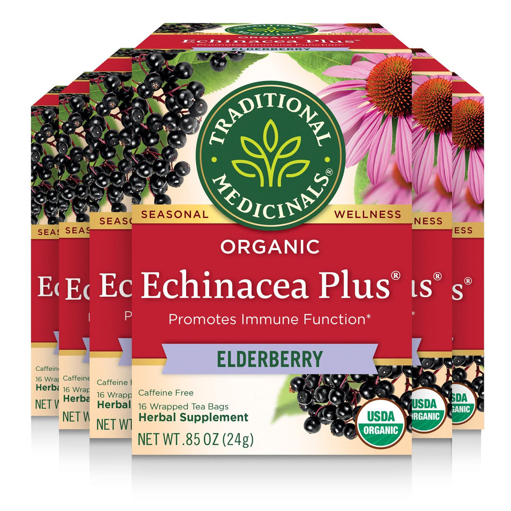 Echinacea Plus® Elderberry Tea | Traditional Medicinals