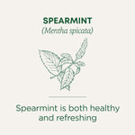 Spearmint Tea