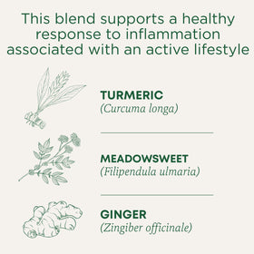 Turmeric with Meadowsweet & Ginger Tea