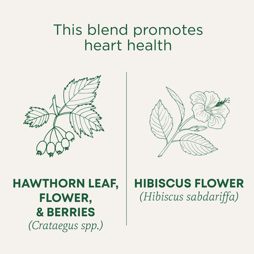 Hawthorn & Hibiscus Tea