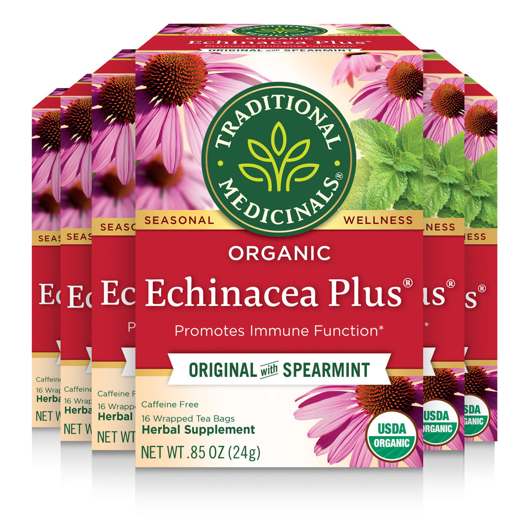 Echinacea Plus® Tea Traditional Medicinals
